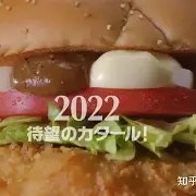 C7娱乐官方网站-包含汉堡主场不利，球迷对球队未来表示担忧的词条