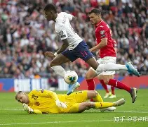 关于瑞士惊险战胜保加利亚，欧洲杯预选赛未完待续的信息