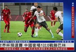 关于瑞士惊险战胜保加利亚，欧洲杯预选赛未完待续的信息